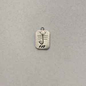Scorpio Zodiac 925 sterling silver charm